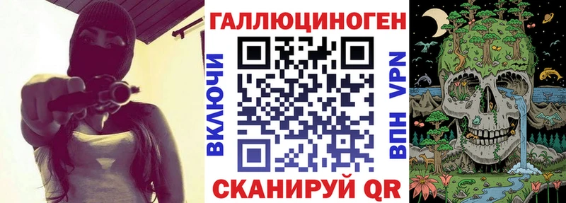 MEGA   Лесосибирск  Псилоцибиновые грибы Psilocybe 